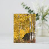 Carte Postale Aspens (Debout devant)
