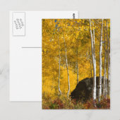 Carte Postale Aspens (Devant / Derrière)