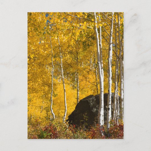 Carte Postale Aspens (Devant)
