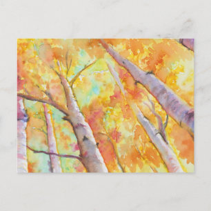 Carte Postale Aspens d'automne