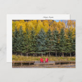 Carte Postale Aspens d'automne (Devant / Derrière)