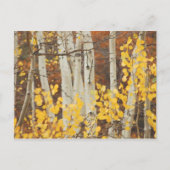Carte Postale Aspens en automne (Devant)