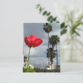 Carte postale - Aspirations de coquelicot (Debout devant)