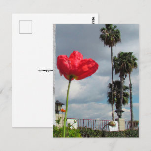Carte Postale - Aspirations Poppy