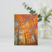 Carte Postale Aspirer à la gloire (Debout devant)