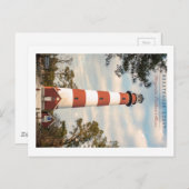 Carte Postale Assateague Island. (Devant / Derrière)