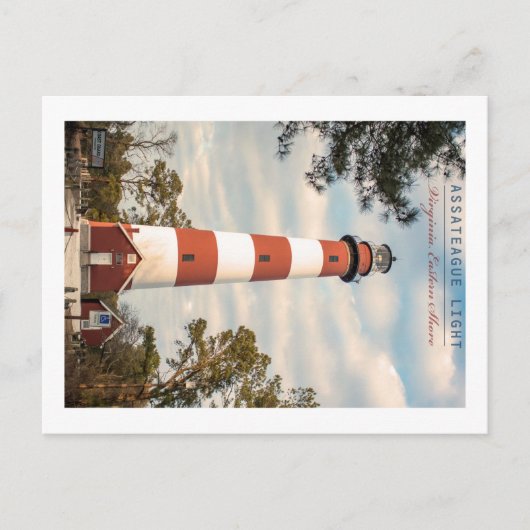 Carte Postale Assateague Island. (Devant)