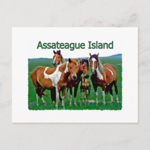 Carte Postale Assateague Island (famille de poney)