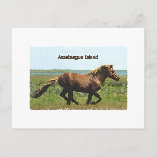 Carte Postale Assateague Island (logo de l'étalon courant) (Devant)