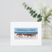 Carte Postale Assateague Island (poneys sur le logo de la plage) (Debout devant)
