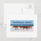 Carte Postale Assateague Island (poneys sur le logo de la plage) (Devant / Derrière)