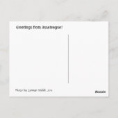 Carte Postale Assateague poulain (Dos)