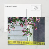 Carte Postale Assez laid (Devant / Derrière)