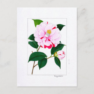 Carte Postale Assiette Camellia : Kayoidori