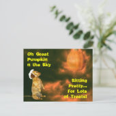 Carte Postale Assis Joli pour beaucoup de soins (Debout devant)