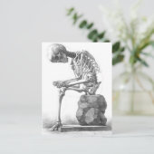 Carte Postale Assis squelette vintage pensée (Debout devant)