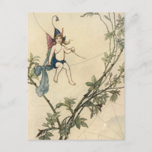 Carte Postale Assis sur le fil d'araignée