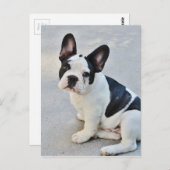 Carte Postale assise (Devant / Derrière)