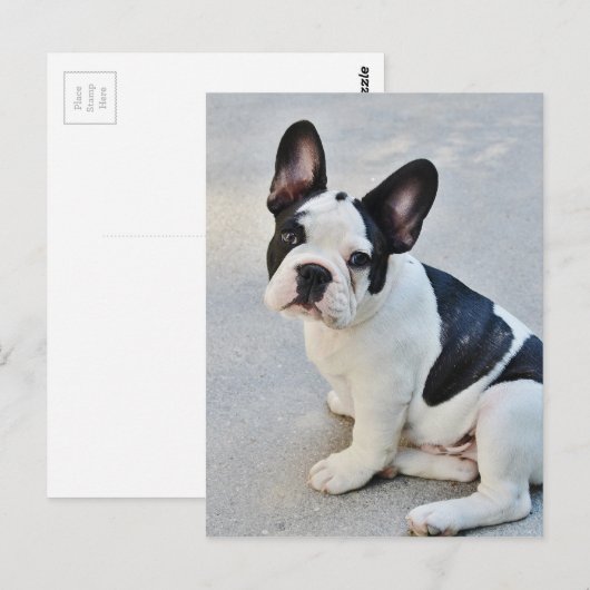 Carte Postale assise (Devant / Derrière)