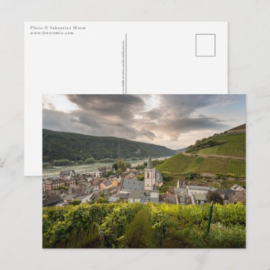Carte Postale Assmannshausen (Devant / Derrière)