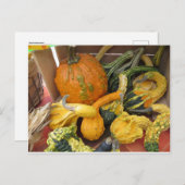 Carte Postale Assortiment Gourd (Devant / Derrière)