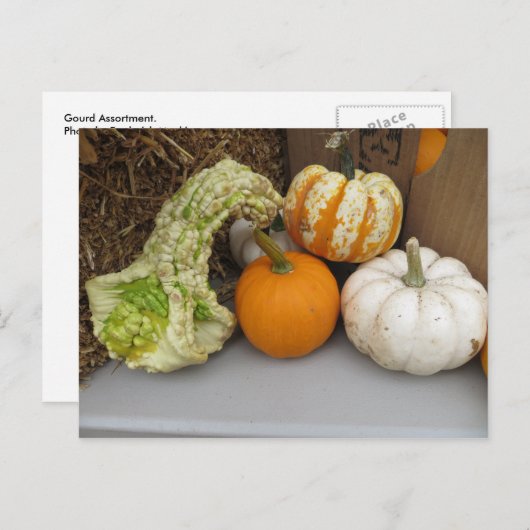 Carte Postale Assortiment Gourd (Devant / Derrière)