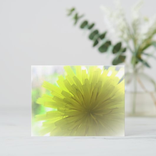 Carte Postale Aster Dandelion Jaune au soleil (Debout devant)
