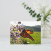 Carte Postale Aster Visitor (Debout devant)