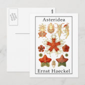 Carte Postale Astéridée par Ernst Haeckel (Devant / Derrière)