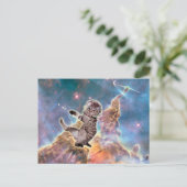 Carte Postale astronaute du chat gras (Debout devant)