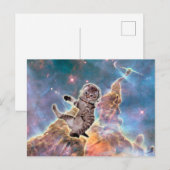 Carte Postale astronaute du chat gras (Devant / Derrière)