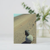 Carte Postale Atacama Desert (Debout devant)