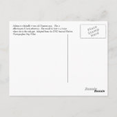 Carte Postale Athéna (Dos)