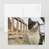 Carte postale Athens Cat Kitten Acropolois Parthen (Devant / Derrière)