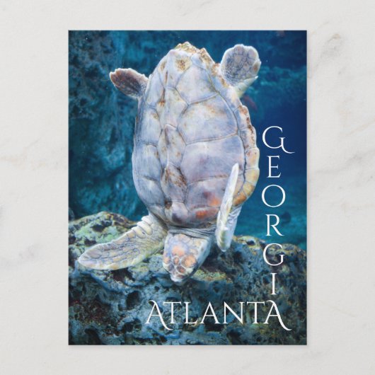 Carte Postale Atlanta Georgia Turtle Dive (Devant)