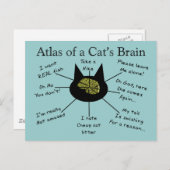 Carte Postale Atlas du cerveau d'un chat (Devant / Derrière)