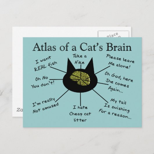 Carte Postale Atlas du cerveau d'un chat (Devant / Derrière)