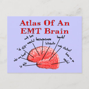 Carte Postale Atlas D'Un Cerveau D'EMT