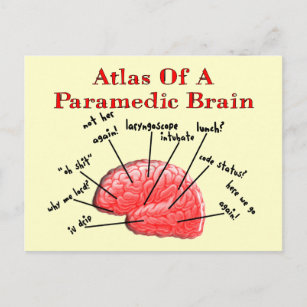 Carte Postale Atlas d'un cerveau paramétrique