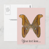 Carte Postale Atlas Moth (Devant / Derrière)