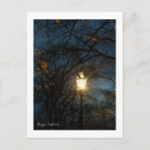 Carte Postale Atmospheric Lantern in Autumn Park, Riga (Devant)