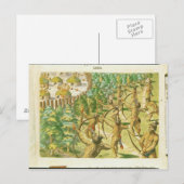 Carte Postale Attaque contre un village indien (Devant / Derrière)