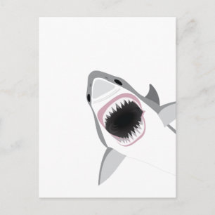 Carte Postale Attaque de requins