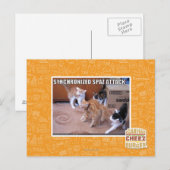 Carte Postale Attaque Spaz Sychronisée (Devant / Derrière)