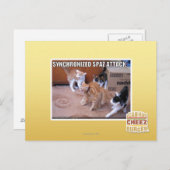 Carte Postale Attaque Spaz Sychronisée (Devant / Derrière)