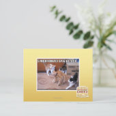 Carte Postale Attaque Spaz Sychronisée (Debout devant)