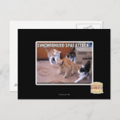 Carte Postale Attaque Spaz Sychronisée (Devant / Derrière)