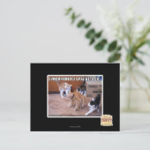 Carte Postale Attaque Spaz Sychronisée (Debout devant)