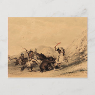 Carte Postale Attaquer le grizzly, 1844 George Catlin