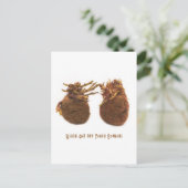 Carte Postale Atteindre (Debout devant)